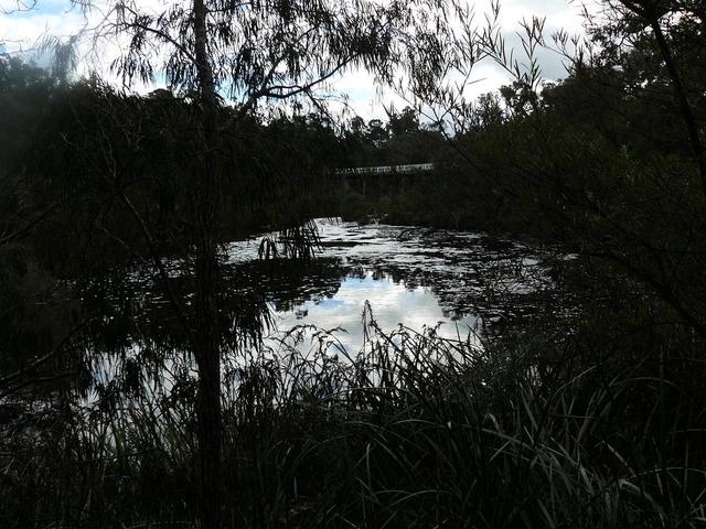 20080722 - Bream Fishing 11 